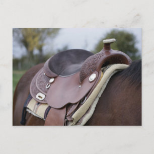 Saddle on a Horse Postcard