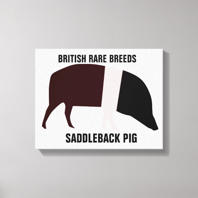 Saddleback Pig Canvas Print (Front)