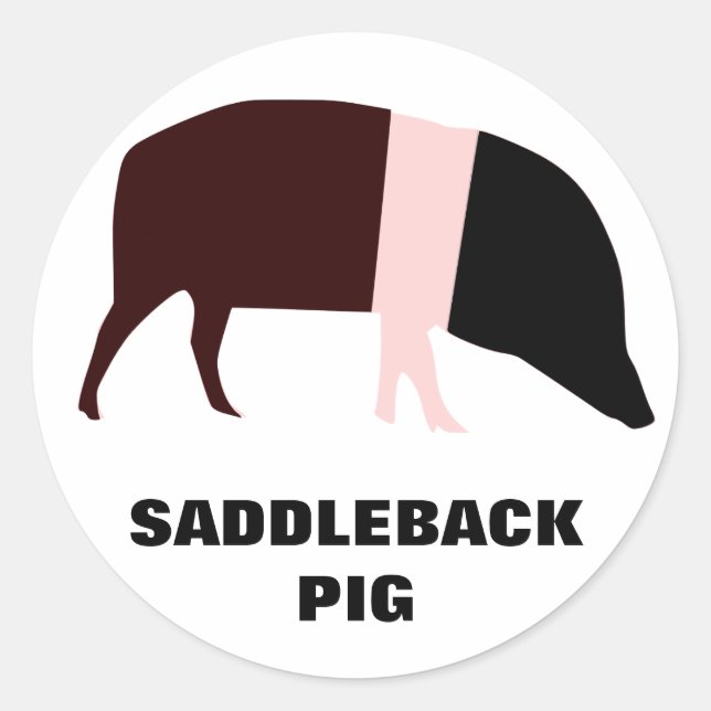 Saddleback Pig Customisable Sticker (Front)