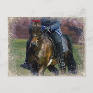 Saddleseat Postcard
