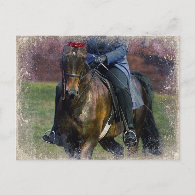 Saddleseat Postcard (Front)