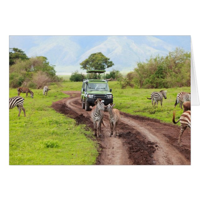 Safari (Front Horizontal)