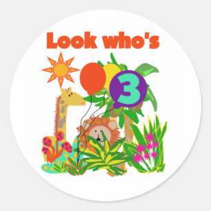 Safari 3rd Birthday Tshirts and Gifts Classic Round Sticker