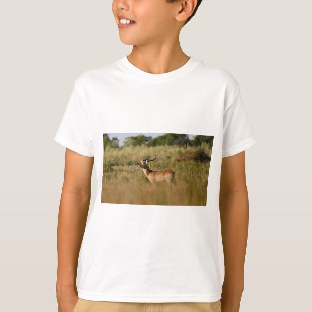 Safari Adventure Buddy–Animal Friend Tee for Kids (Front)