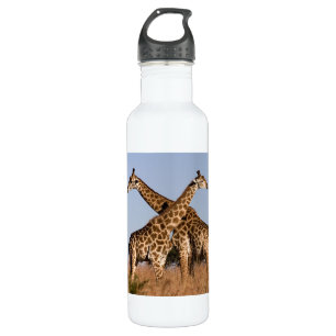 Safari Africa Giraffes 710 Ml Water Bottle