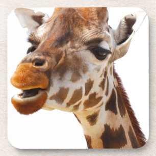 Safari Africa Jungle Giraffe Coaster