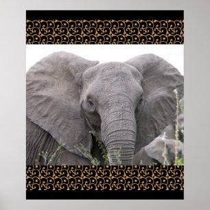 Safari Africa Mod Chic Classy Destiny Elephant Poster