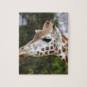 Safari Africa Mod Chic Classy  Destiny Giraffe Jigsaw Puzzle