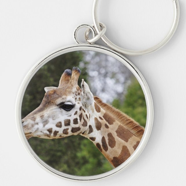 Safari Africa Mod Chic Classy  Destiny Giraffe Key Ring (Front)
