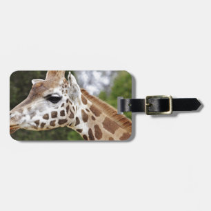 Safari Africa Mod Chic Classy  Destiny Giraffe Luggage Tag
