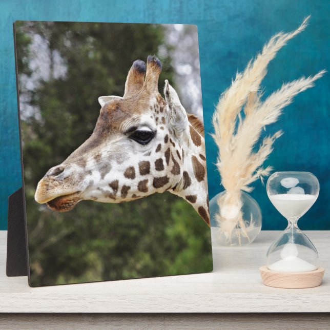 Safari Africa Mod Chic Classy  Destiny Giraffe Plaque (Side)