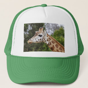 Safari Africa Mod Chic Classy  Destiny Giraffe Trucker Hat
