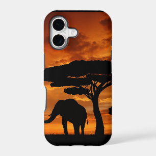 Safari African Baobab tree elephant silhouette