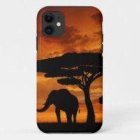 Safari African Baobab tree elephant silhouette