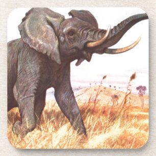 Safari African Jungle Destiny Animals Elephants Coaster
