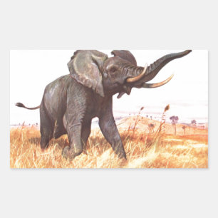 Safari African Jungle Destiny Animals Elephants Rectangular Sticker