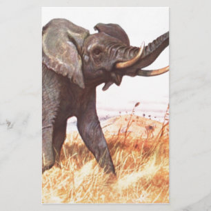Safari African Jungle Destiny Animals Elephants Stationery