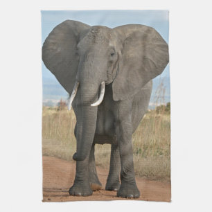 Safari African Jungle Destiny Animals Elephants Tea Towel