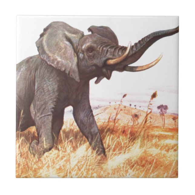 Safari African Jungle Destiny Animals Elephants Tile (Front)