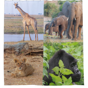 Safari Animals Shower Curtain
