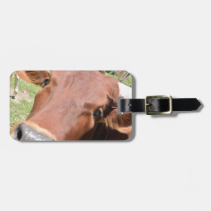 Safari Brown Cow Luggage Tag
