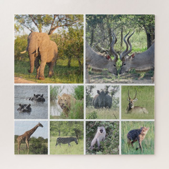 safari collage jigsaw puzzle (Horizontal)