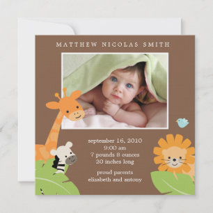 Safari Friends Birth Announcements