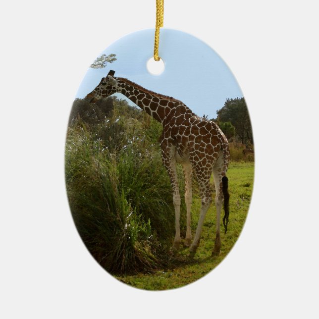 Safari Giraffe ornament (Front)