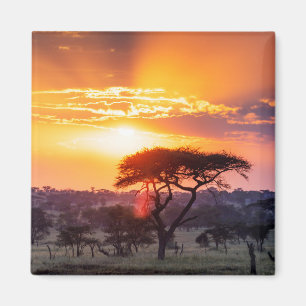 Safari in the Serengeti National Park Magnet