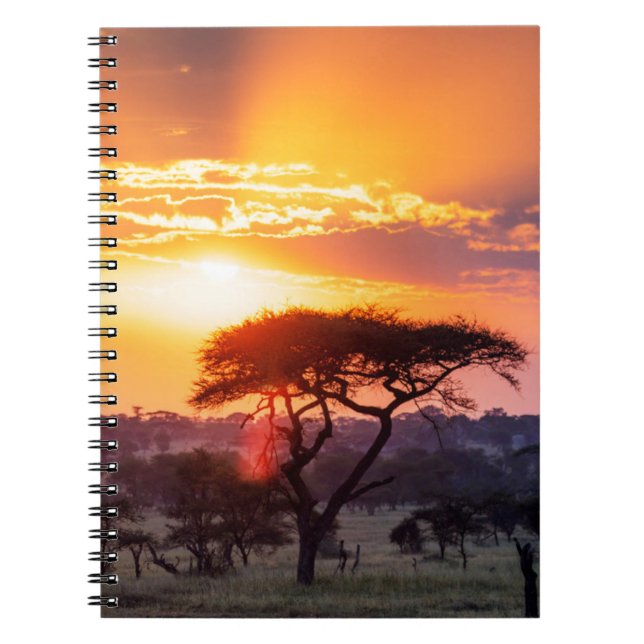 Safari in the Serengeti National Park Notebook (Front)