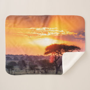 Safari in the Serengeti National Park Sherpa Blanket