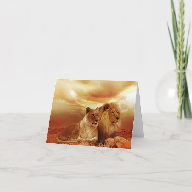 Safari Lions Greeting Card (Front)