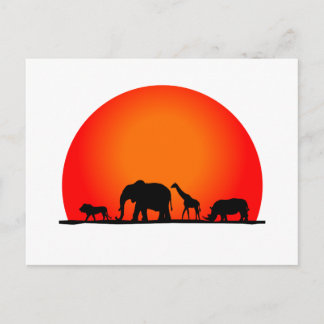 Safari Postcard