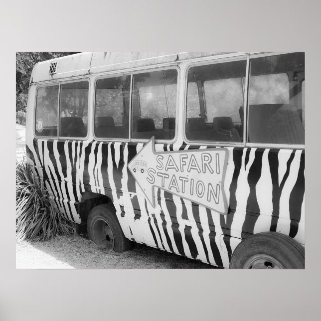 Safari Station Zebra Striped Tour Bus Poster (Front)