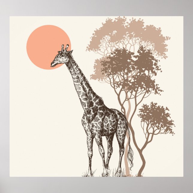 Safari Sunset Giraffe Nature Scenery Poster (Front)