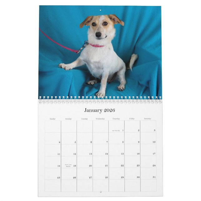 Safe Hands 2015 Calendar (Jan 2026)