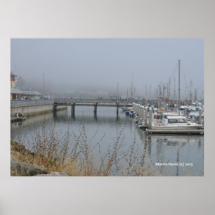 Safe Harbor Poster