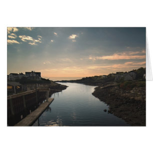 Safe Harbour Card