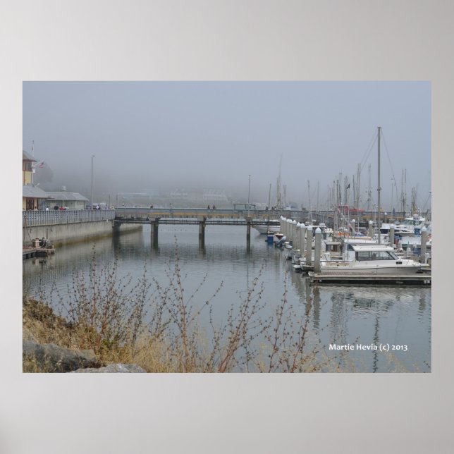 Safe Harbour Poster (Front)