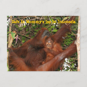 Safe in Mummy's Lap Postcard