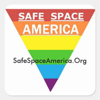 Safe Space America Sticker