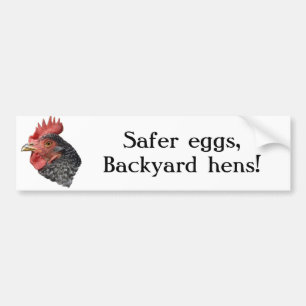 Safer eggs, Backyard hens! - Bumper sticker