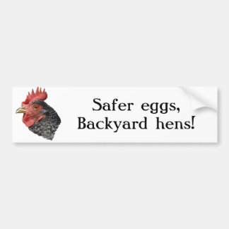 Safer eggs, Backyard hens! - Bumper sticker