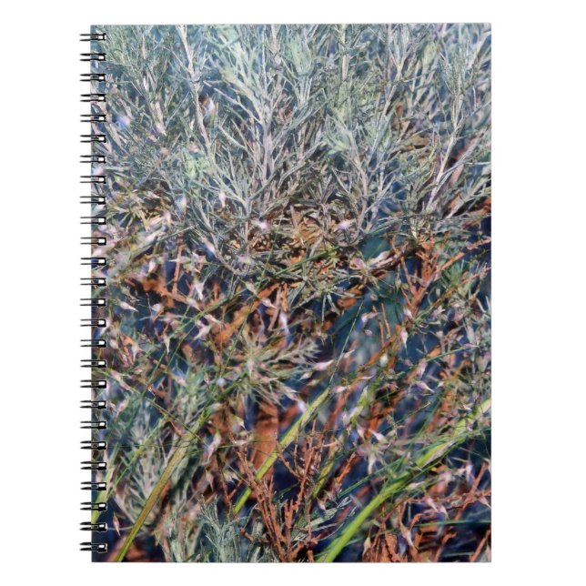 Sage and Summer Grass Abstract Notebook (Front)