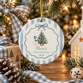 Sage Blue Silly Goose Baby First Christmas Ceramic Tree Decoration