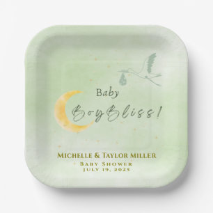 Sage Green Baby Boy Bliss Stork  Paper Plate