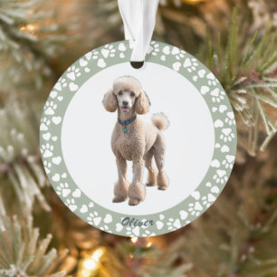 Sage Green Custom Photo Pet Loss Memorial Frame Ornament