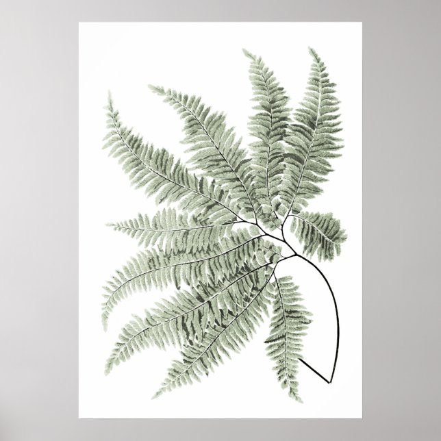 Sage Green Decor Fern Leaf Print no. 5 (Front)