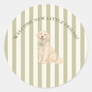 Sage Green Golden Retriever Baby Shower Classic Round Sticker