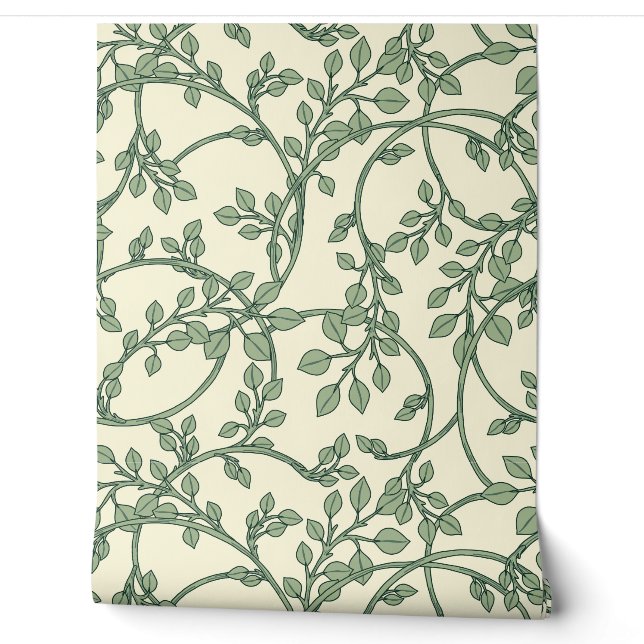 Sage Green Hand-Drawn Twining Vine Wallpaper (Unrolling)